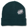 Santa Cruz Lined Oval Dot Beanie - Rainforest