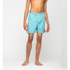 Santa Cruz Classic Dot Swim Shorts - Turquoise