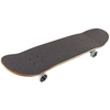 DGK Lolli Complete Skateboard 7.75"